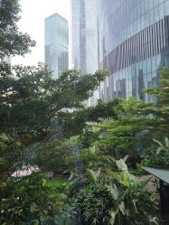 -蜜悦居月子中心(国金中心店)