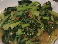 -海派美食·家宴海鲜青岛菜·石锅鲽鱼头(东方城店)