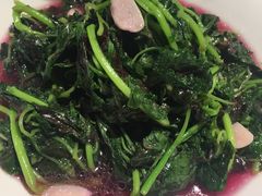 清炒苋菜-鲜螺湾(鹏欣丽都店)