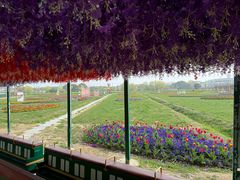 -苏州太湖西山岛开心农场