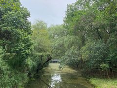 -溱湖国家湿地公园