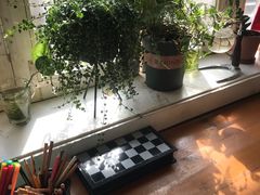 -餐酒吧Com-ing Bar(上海路店)