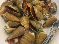 -欢乐海岸美食联盟