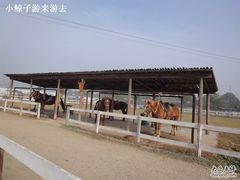 -苏州太湖西山岛开心农场