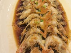 开背虾-金时代顺风大酒店(静安大融城店)