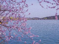 -颐和园