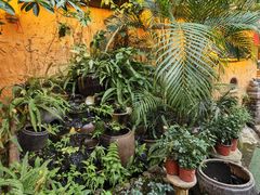 -园林美食城·本土农家菜(杨和镇店)