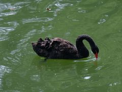 -钓鱼台国宾馆