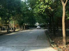 -安飞驰驾校·学车连锁(金高店)