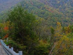 -秦岭风景区