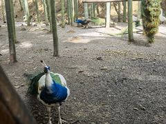 -仙岛湖旅游风景区