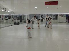 -极真空手道修远道场