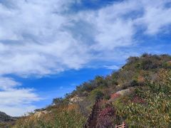 -大岭沟猕猴桃谷风景区