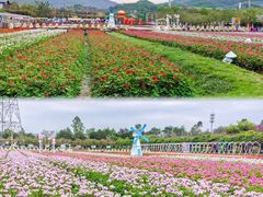 -盈香心动乐园