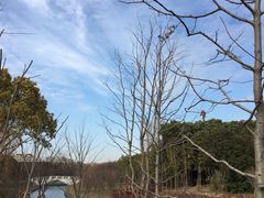 -昆山城市生态森林公园