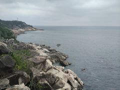 -广东惠东海龟国家级自然保护区