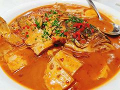 乾隆鱼头-乾隆美食·本帮菜(黄河路店)