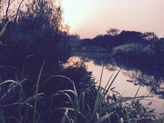 -梁鸿国家湿地公园