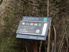-莫里热带雨林景区
