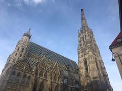 -斯蒂芬主教座堂(Stephansdom)