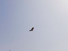 -克孜尔尕哈烽燧世界文化遗产公园