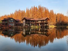 -黄海国家森林公园