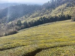 -敬亭山风景名胜区