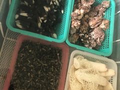 -山大王菌莊