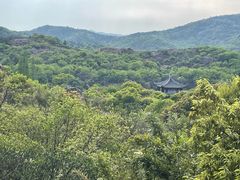 -白马涧龙池景区