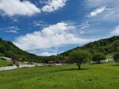 -大水川景区