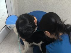 -谐和贝康宠物医院24小时·宠保定点(急重症转诊中心)