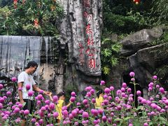 -广州市流溪河国家森林公园
