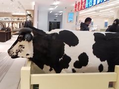 -红星前进面包牛奶公司(君太店)