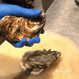 新塘的生蚝爱好者注意啦！赶紧冲！😍