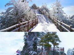 -秦岭天竺山生态文化旅游景区