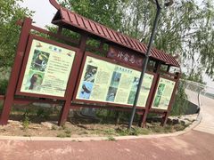 -武清南湖绿博园