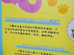 -野象谷景区