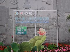 -陈家山荷花公园