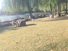 -南翔镇银翔湖公园