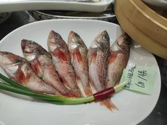 -大众海鲜(巨龙北路店)