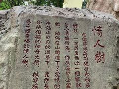 -七仙岭温泉国家森林公园