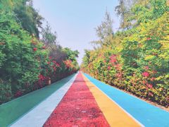 -厦门湾·白塘湾火山公园