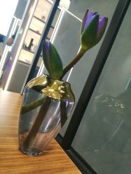 -SEBASTIAN塞巴斯汀