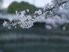 -玉山公园