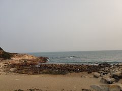 -广东惠东海龟国家级自然保护区