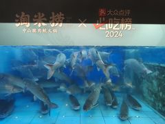-淘米捞·米汤脆鲩鱼火锅(福田皇岗店)