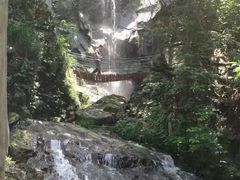 -藏龙百瀑风景区