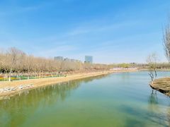 -大兴滨河森林公园