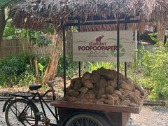 -大象粑粑造纸公园