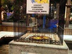 -固安来康郡来康温泉